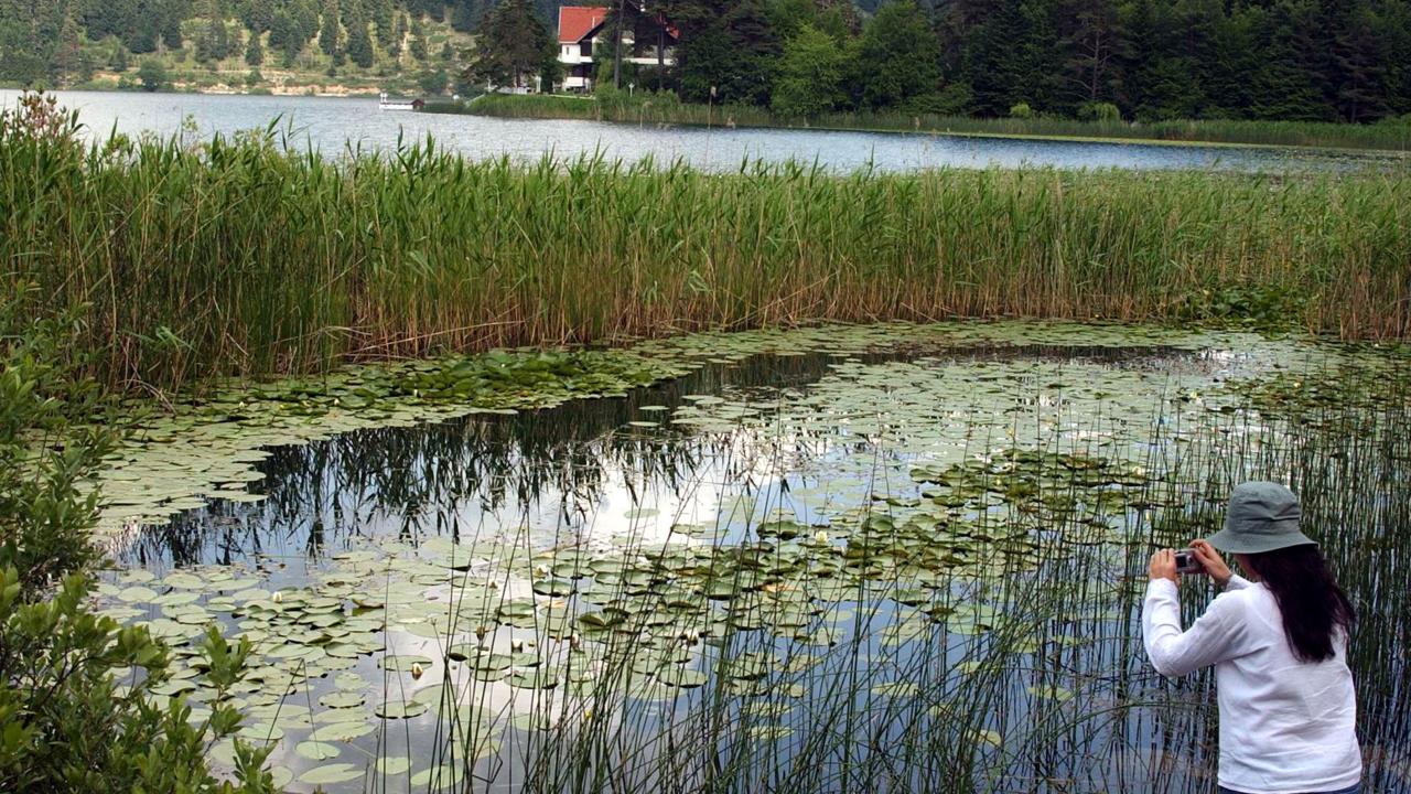 48. Abant Gölü Milli Parkı (Bolu) 