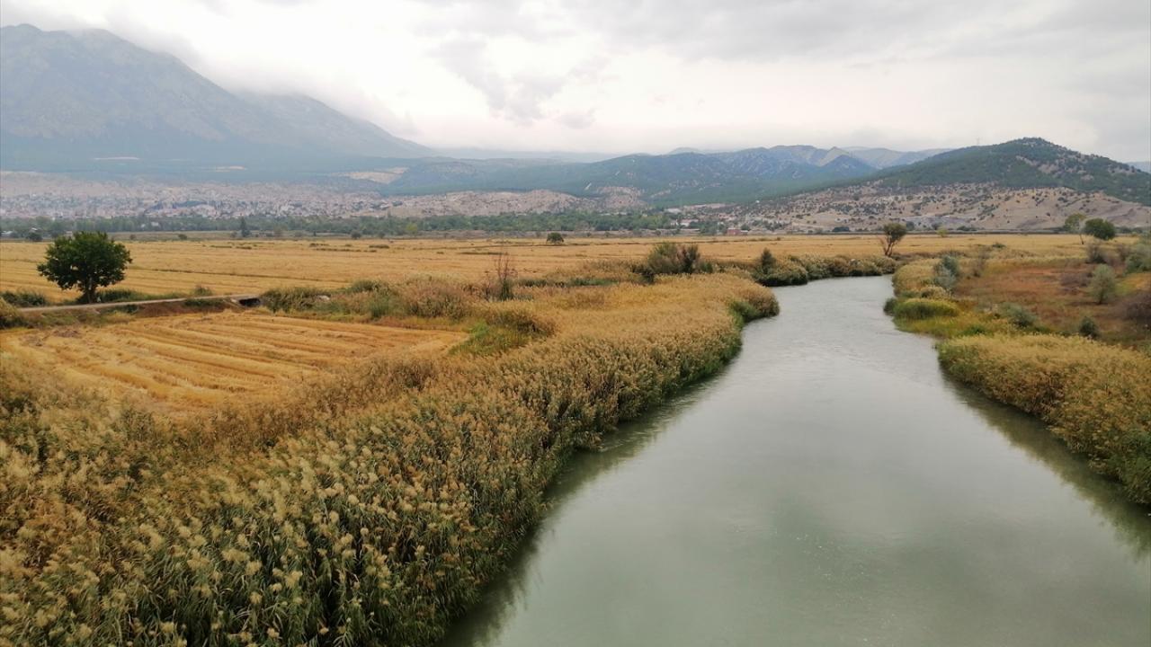 "Çeltiğimiz 110 gün su içinde kalıyor"