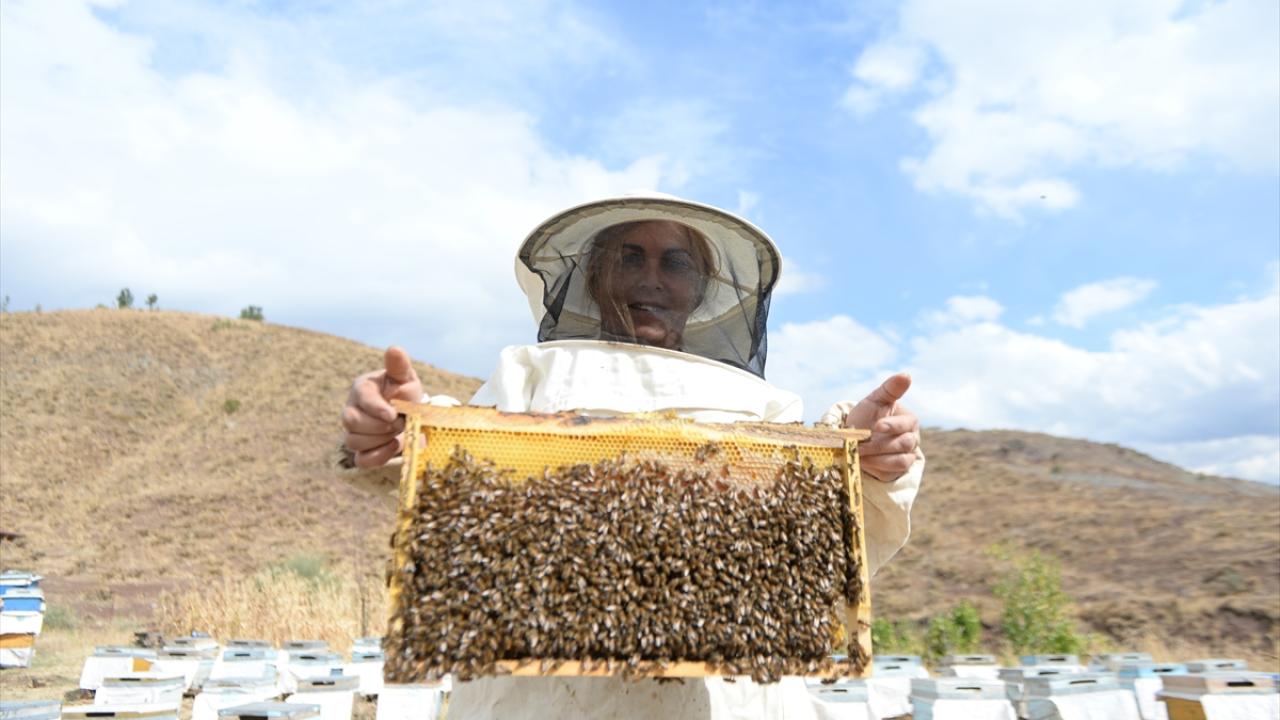 "Yurt dışında da tanınmaya başladı"