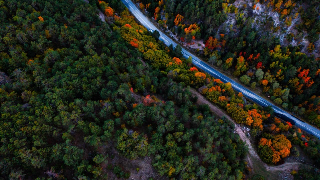 Fotoğraf: Abdurrahman Doğan