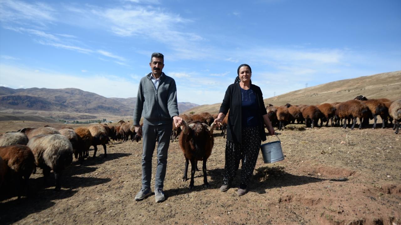 "48 bin hayvan için proje yürütüyoruz"