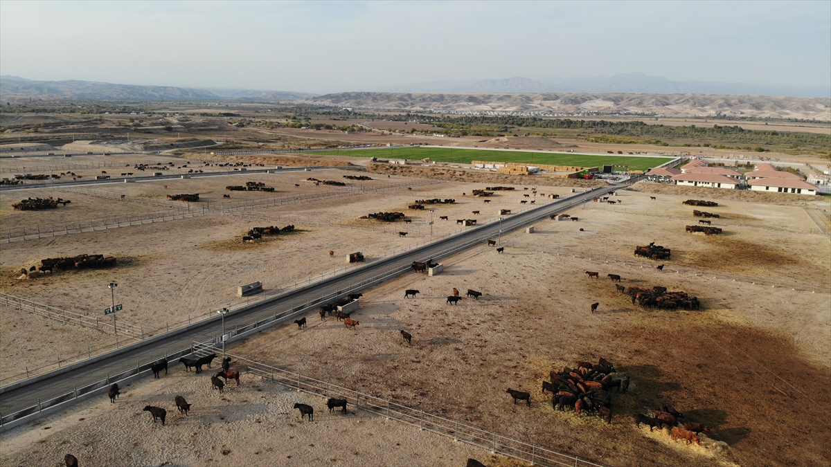 Bölgenin ilk özel yatırımı Dost Agropark