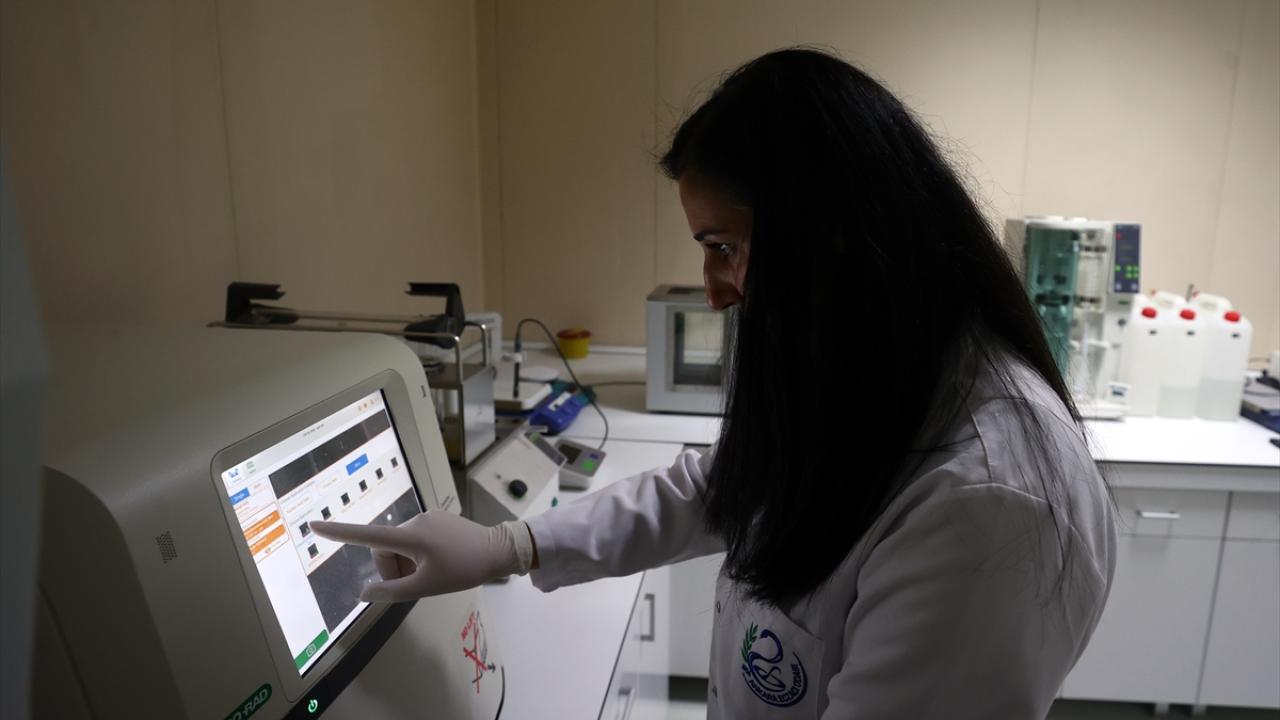 "Çalışmalarımız, devam eden enfeksiyonlarla mücadelede çok işe yarayacak"