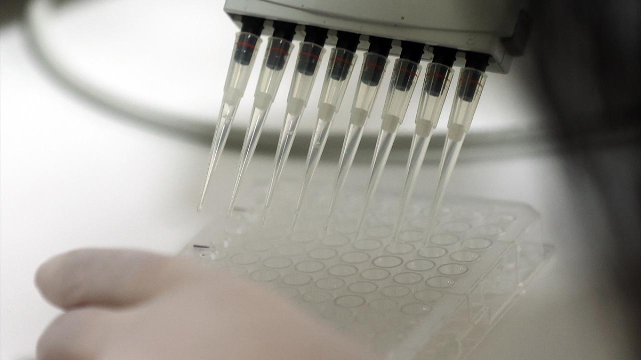 "Sentetik peptit aşıda klinik öncesi çalışmalar tamamlanmak üzere"