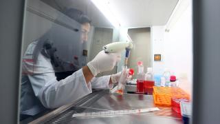 Türkiye'nin ilk aşı enstitüsünde yerli aşı çalışmalarında sona gelindi