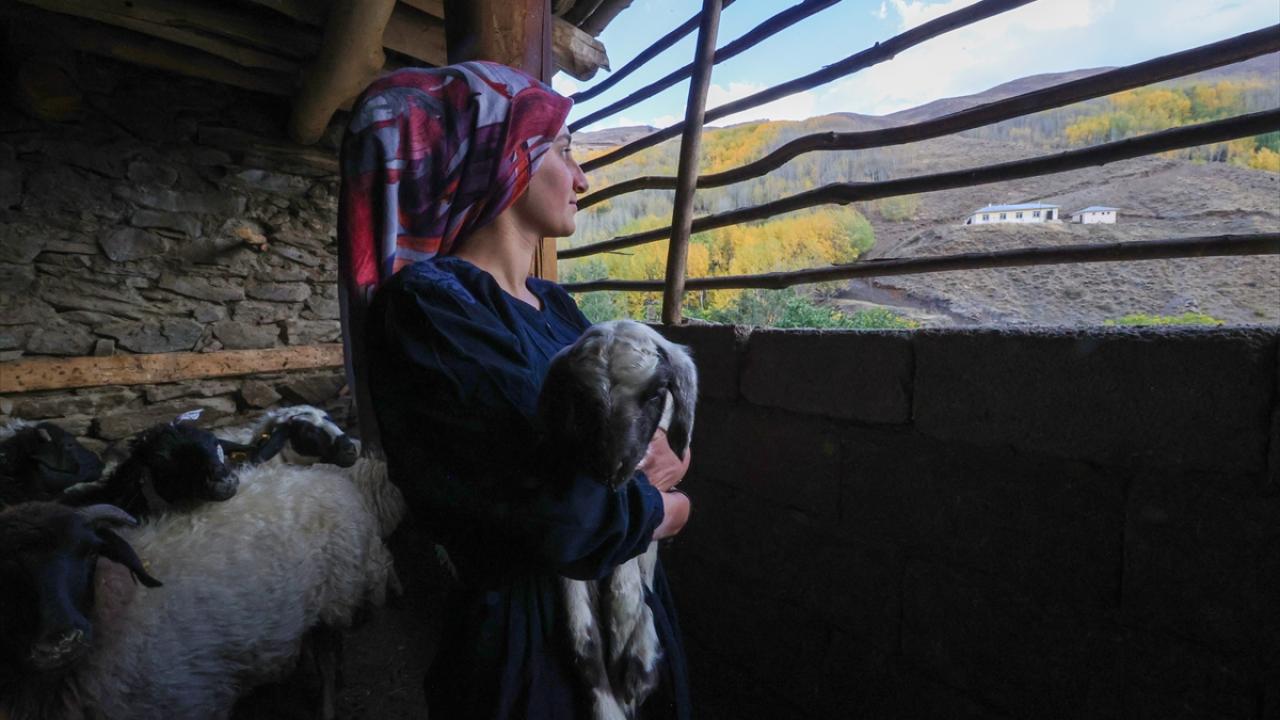 İnsanı yaşat ki devlet yaşasın şiarıyla çalışıyoruz