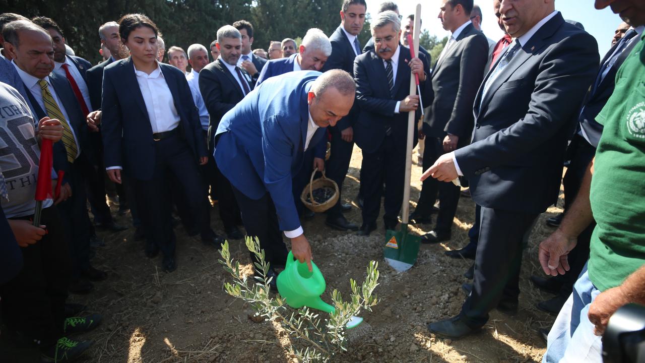 Çavuşoğlu, Tevrat`ta ve Kur`an-ı Kerim`de de zeytinden bahsedildiğini belirterek şöyle konuştu: