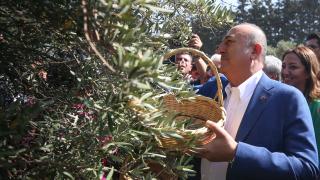 Dışişleri Bakanı Çavuşoğlu, Hatay'da