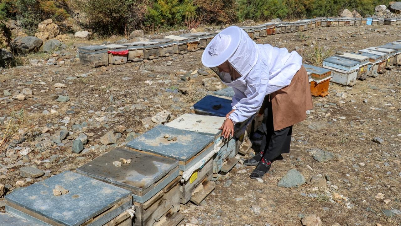 "Coğrafi işaret alma çalışmamız devam ediyor"