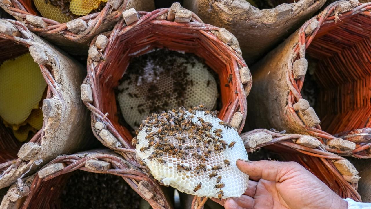 "Üretimimizin tamamı organik"