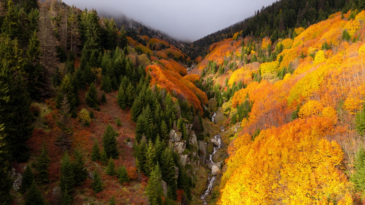 "Bir tarafta Kaçkar Dağları, bir tarafta yeşillik, doğa"