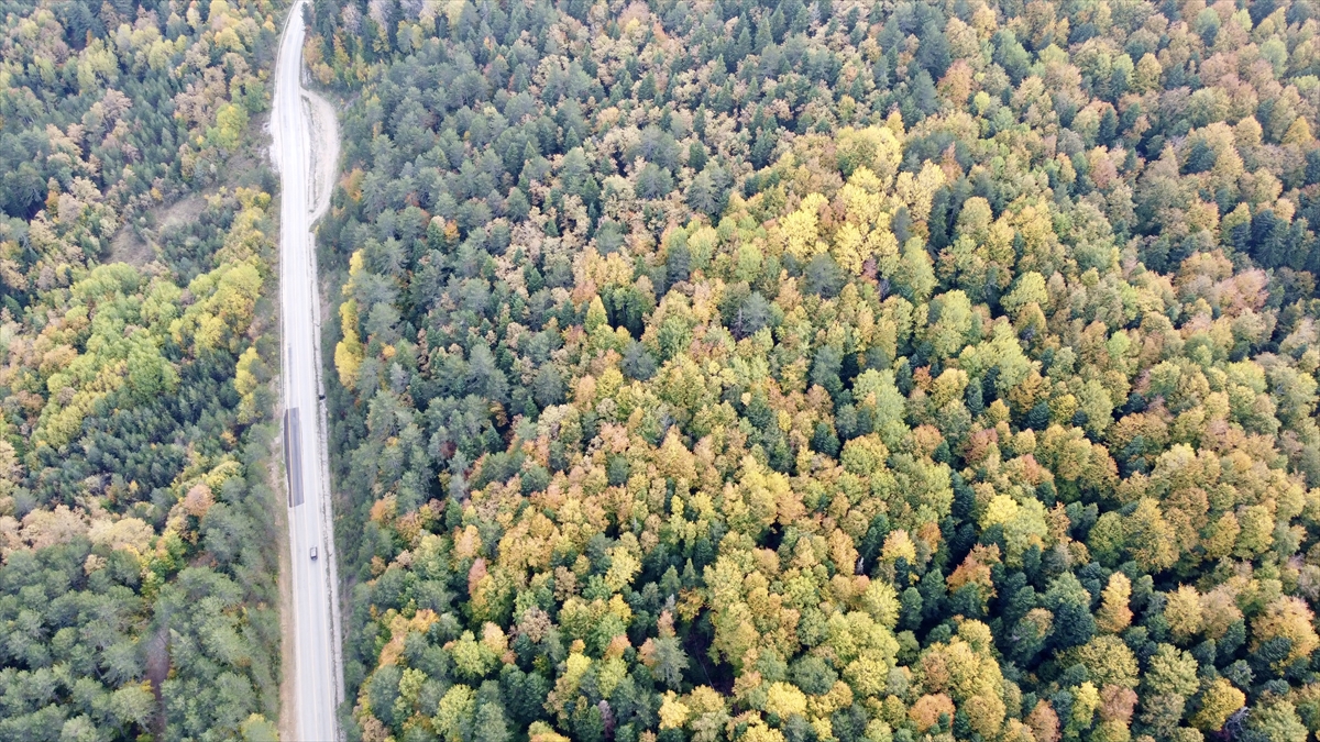 "Doğal güzellikler, ilçemizin yüzlerce yıllık kültürel birikimiyle bir araya geliyor"