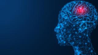 Beyinle ilgili efsaneler: Nöromitler