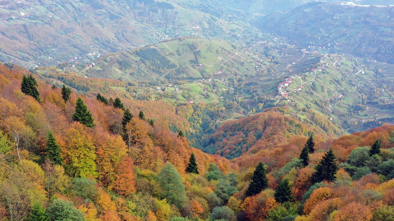 Hıdırnebi Yaylası Ekoturizm Yolu (Trabzon)