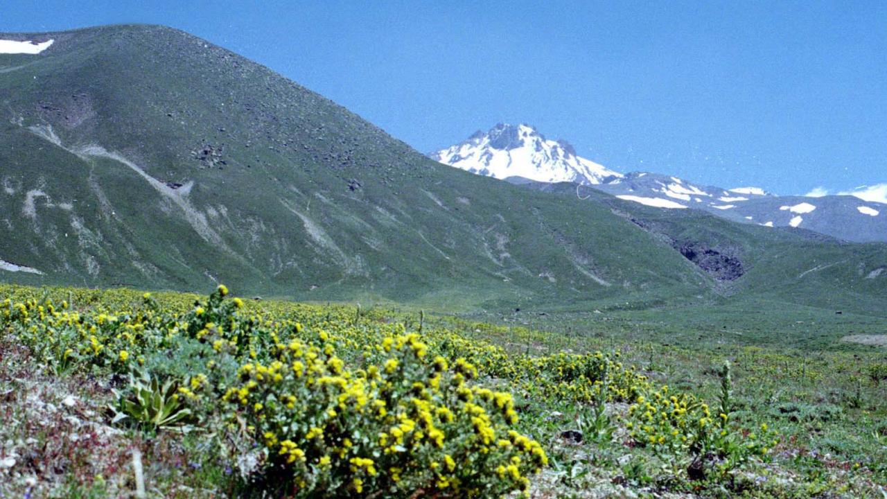 Sakarçiftliği (Erciyes Kavak) Ekoturizm Alanı (Kayseri)