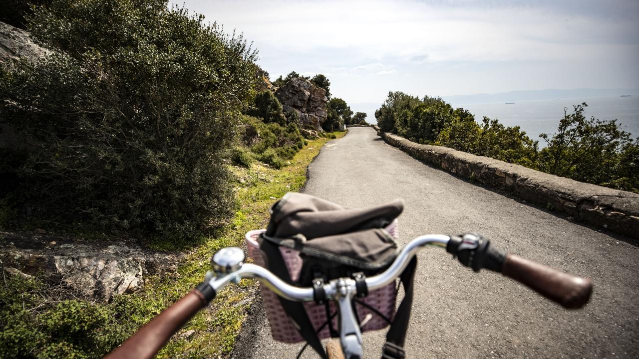 Büyükada Ekoturizm Alanı (İstanbul)