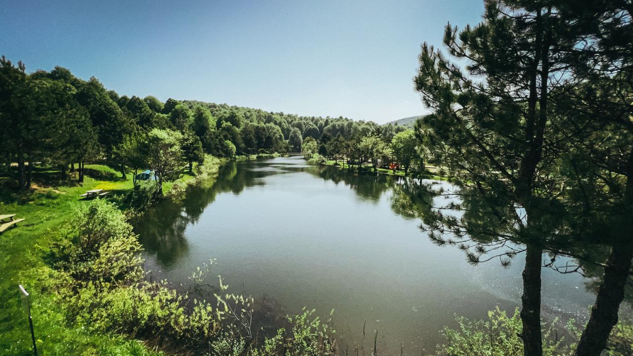 Domaniç Göç Yolu Ekoturizm Alanı (Kütahya)