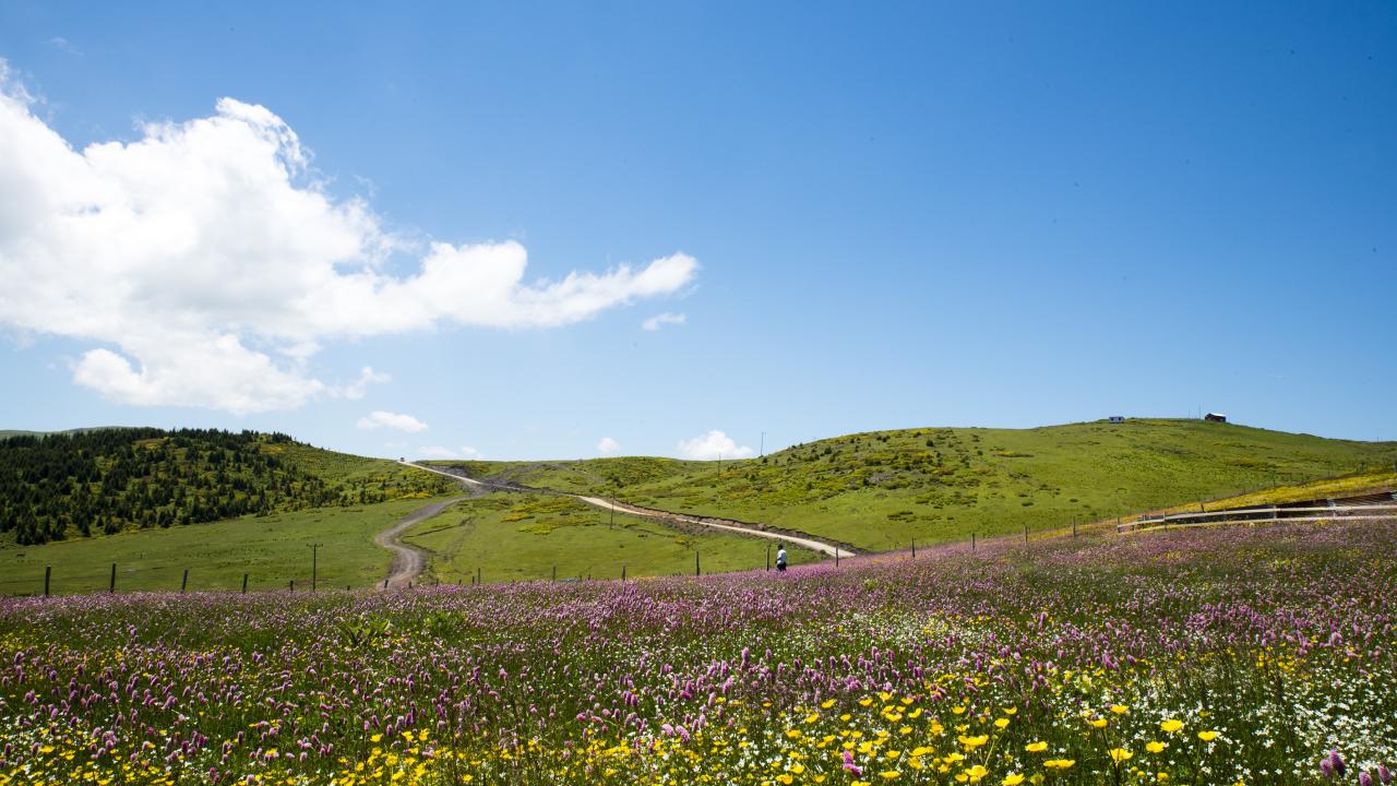 Çoruh Ekoturizm Alanı (Artvin) 