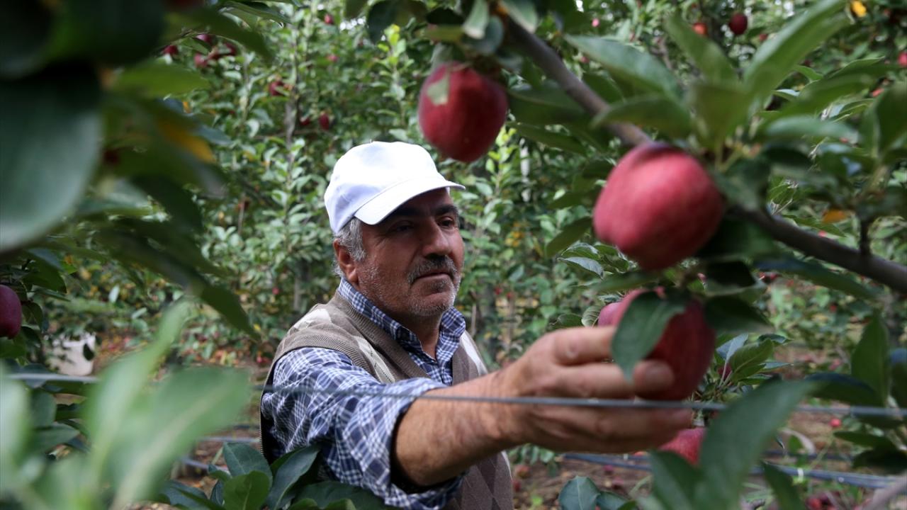 "Piyasanın talebine göre de hareket ediyoruz"