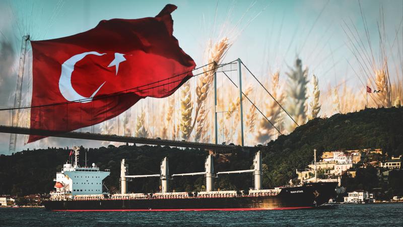 Britaniya Türkiyə dövlətinə təşəkkürünü bildirdi