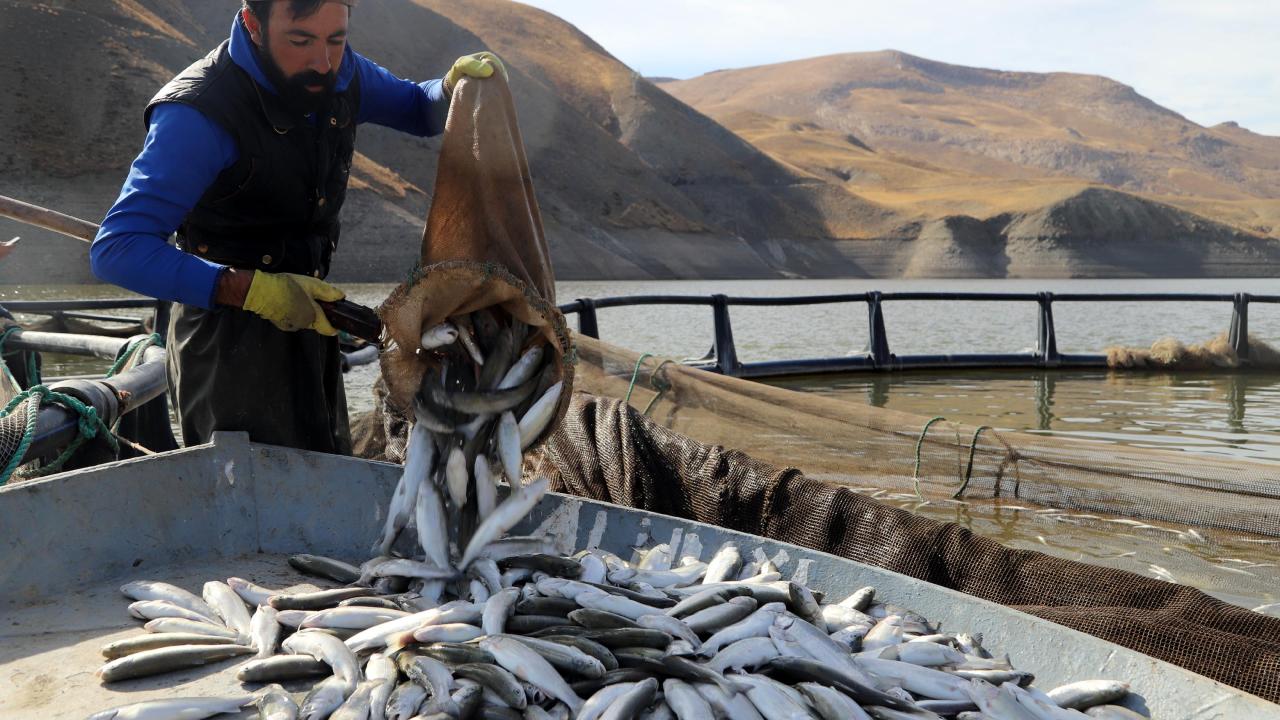 "Üretim yapamıyor, önümüzü göremiyoruz"
