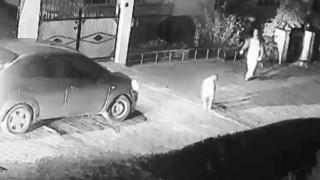 Fren yerine gaza basınca oğlunu ezdi