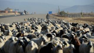 5 aydır yaylada olan göçerler dönüş yolunda