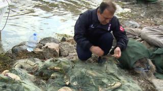 İstanbul'da kaçak avcılara göz açtırılmıyor: TRT Haber denetimlere katıldı