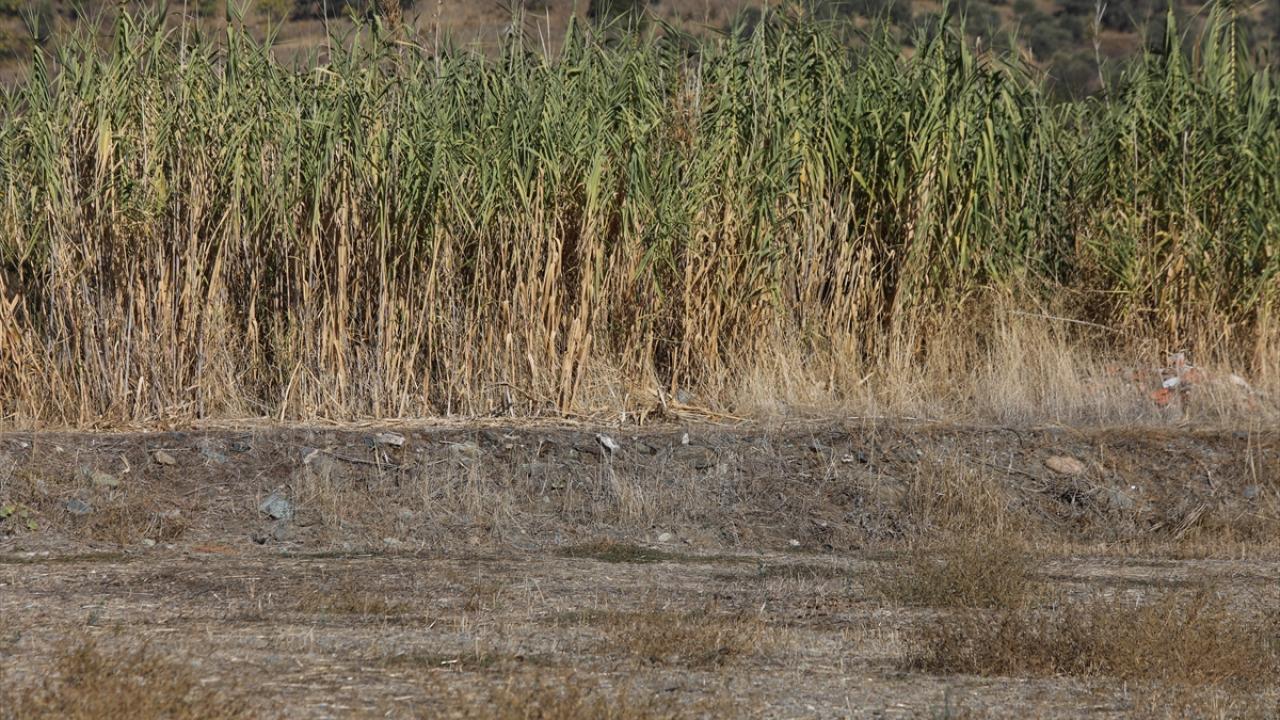 "Kuraklık nedeniyle kışlık sebze meyve dikmeyenler var"