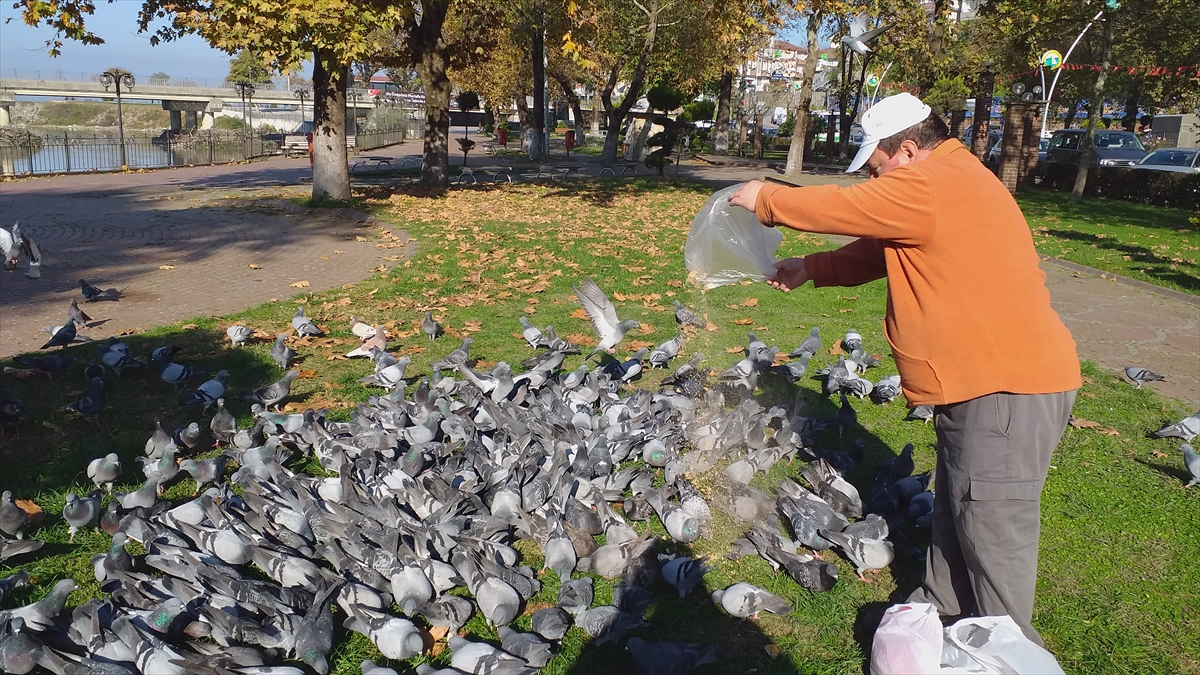 "Sokak hayvanlarını aç bırakmamaya çalışıyorum"