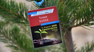 "Milli Ağaçlandırma Günü"nde fidanlar toprakla buluşturuldu