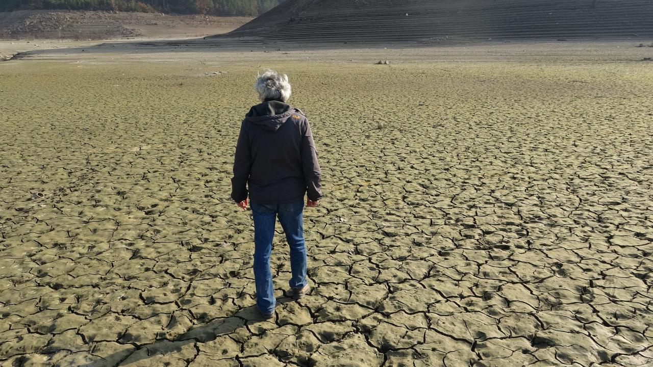 Nilüfer gözlerimizin önünde kuruyor