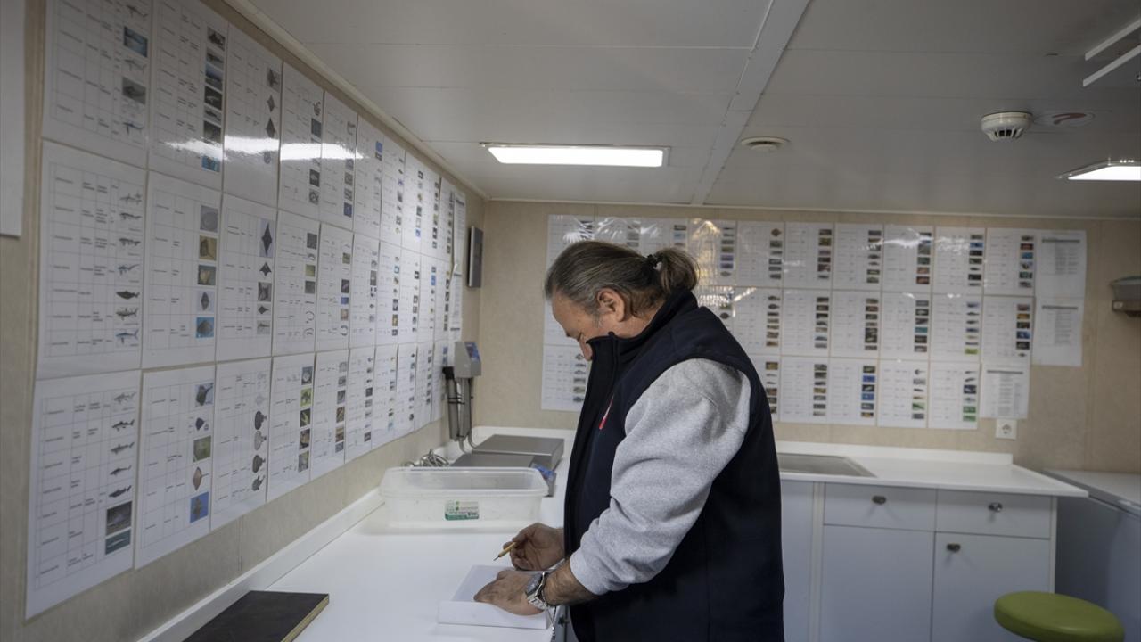 "Gemideki laboratuvarlarla karaya çıkmadan balıklar inceleniyor"