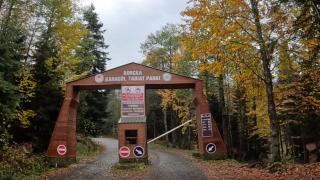 Artvin'de sonbahar güzelliği