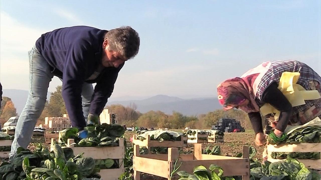 "Hem üretiyoruz hem istihdam sağlıyoruz"