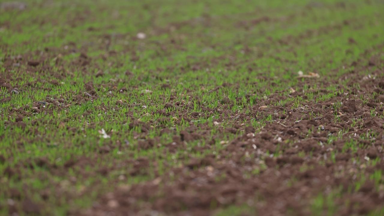 "Yağışlar istikrarlı değil, bölgesel olarak yağış aldık"