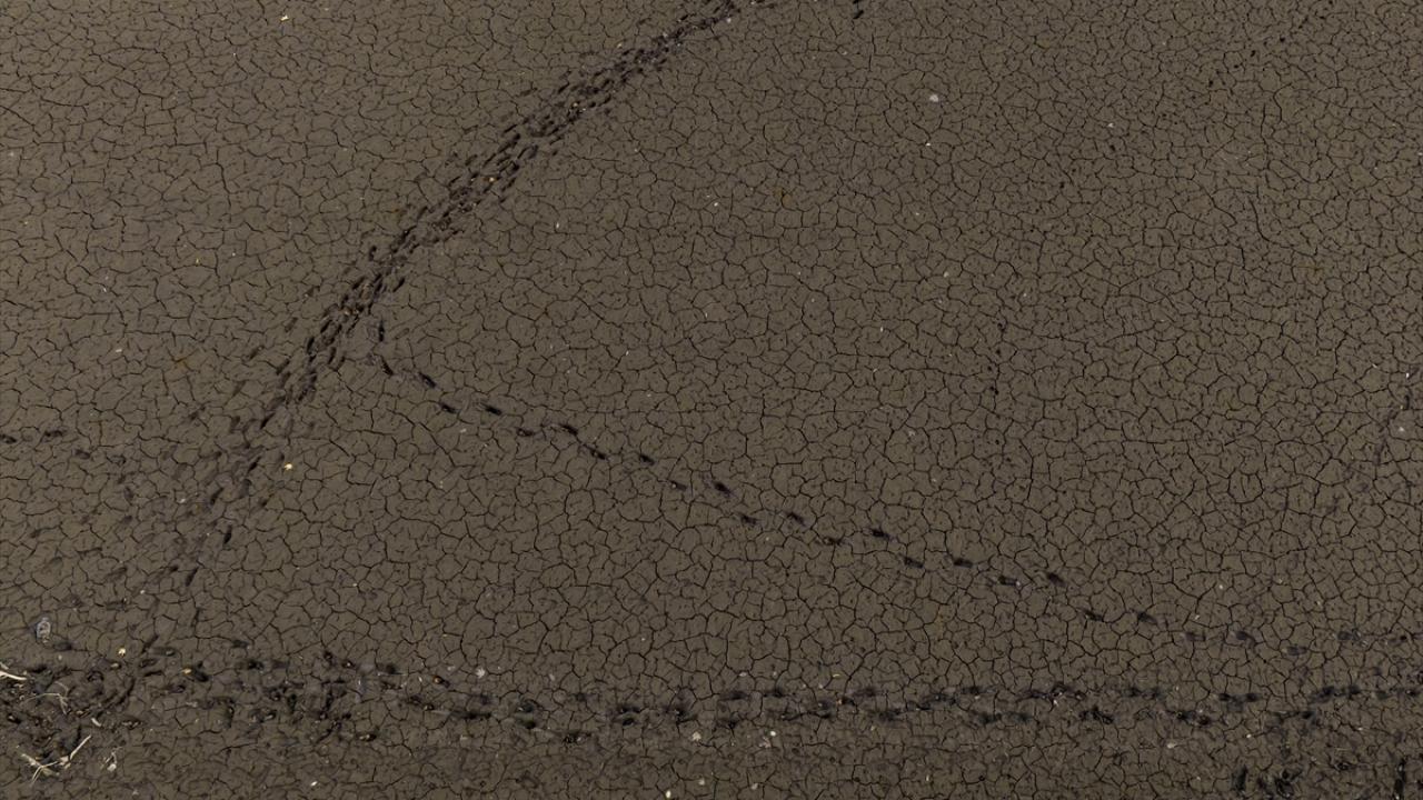 Darlık Barajı`nın kollarında sular çekildi