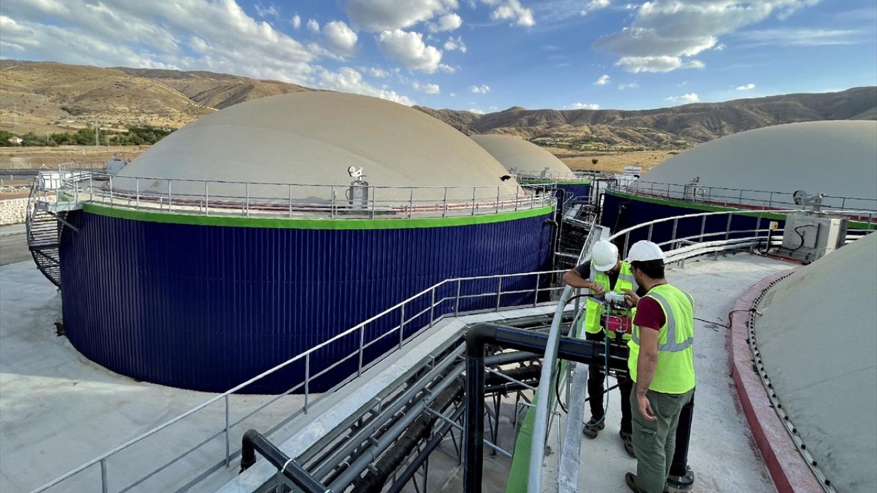 Hayvan gübresinden 9 bin 400 haneye yetecek elektrik üretiyorlar