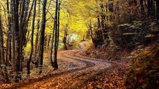 Yakın Rotalar: Zonguldak