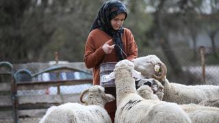 21 yaşındaki genç kız devlet desteğiyle çiftçi oldu