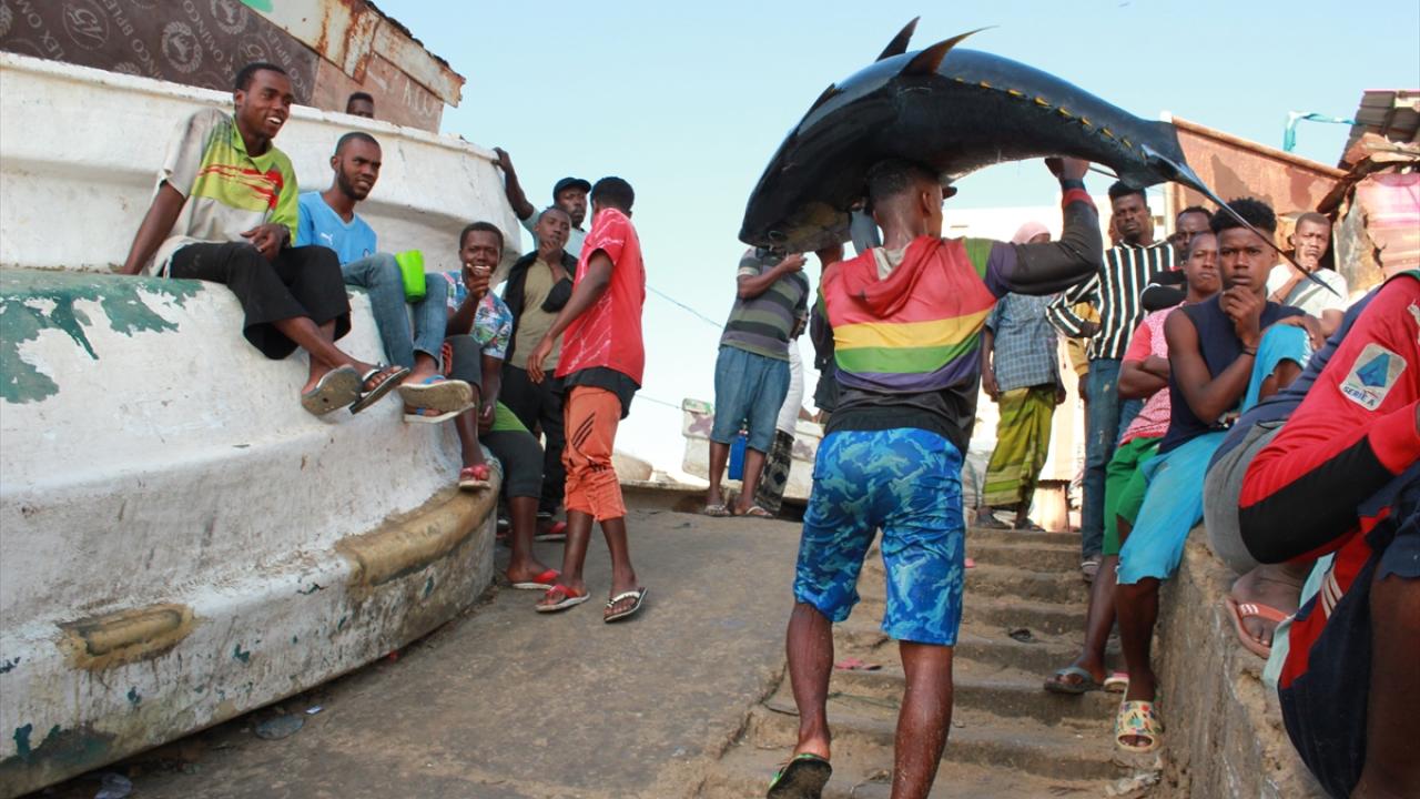 Yabancı ülkeler avlanıyor