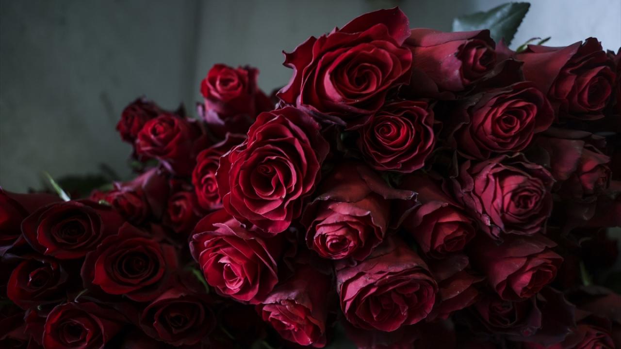 Saksıda ve demet olarak çiçek satışları yoğun