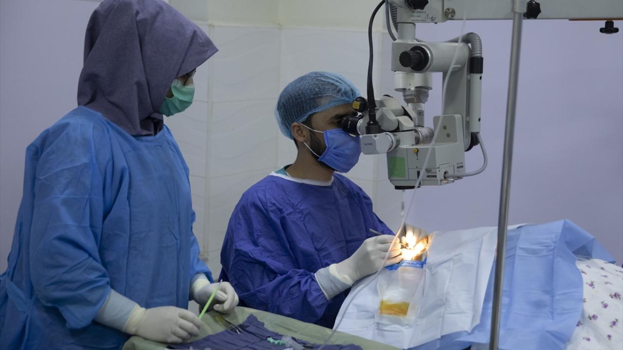 "Bir insanın dünyasının tekrar aydınlanmasına vesile oluyorlar"