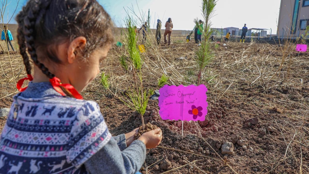 "Onlar adına bu fidanları büyüteceğiz"