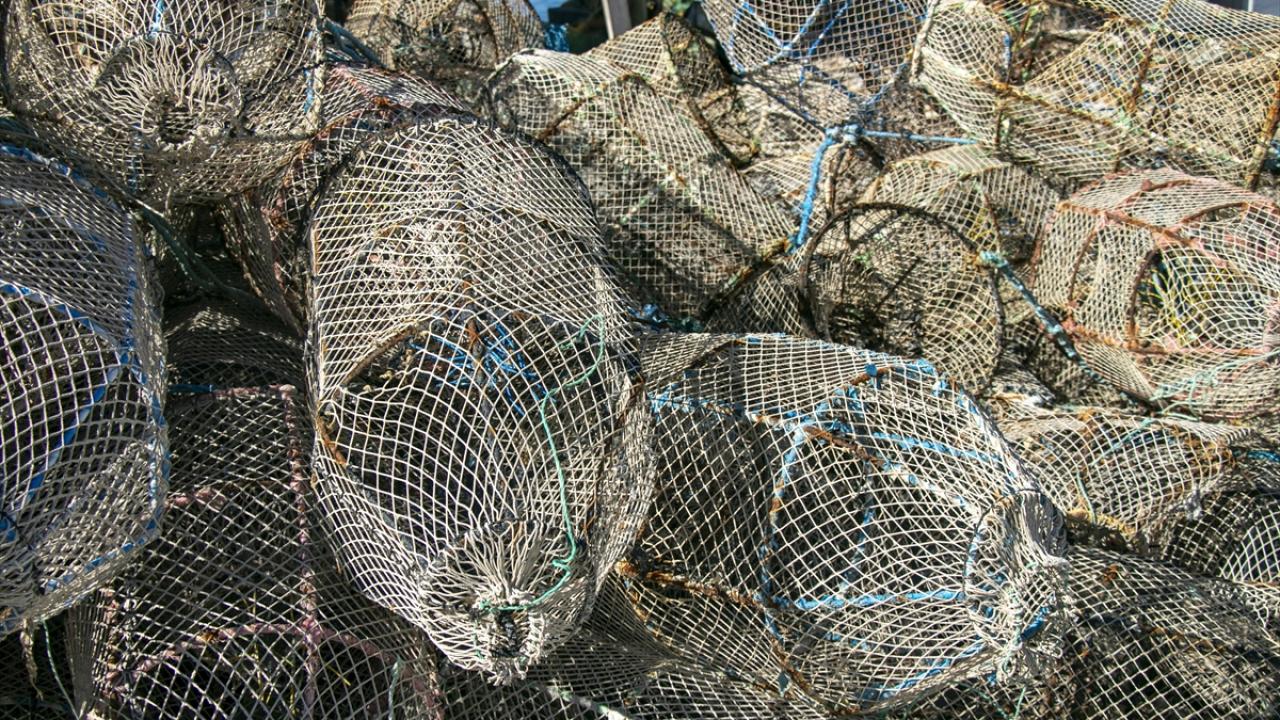 Denize zarar veren avlanma yöntemleri