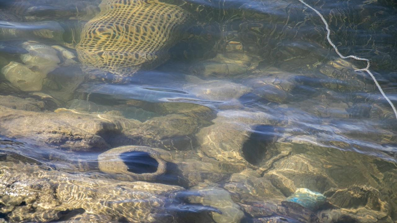 Tunus`ta deniz ürünleri ihracatı yüzde 32,7 arttı