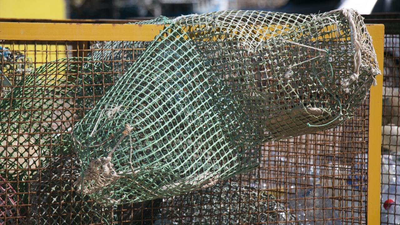 Plastik sepetlerle yapılan ahtapot avcılığı denize zarar veriyor