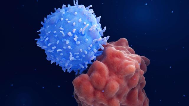 İngiliz Bilim İnsanları, Kanser Tedavisinde Devrim Niteliğinde mRNA Aşısı Geliştirdi