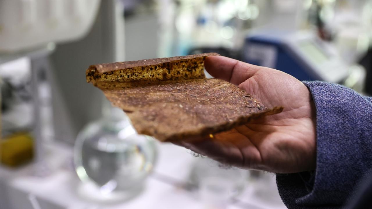 "Kendiliğinden parçalanıyorlar"