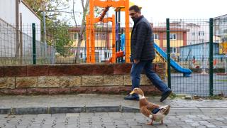 Ördeğiyle çarşı pazar birlikte geziyor